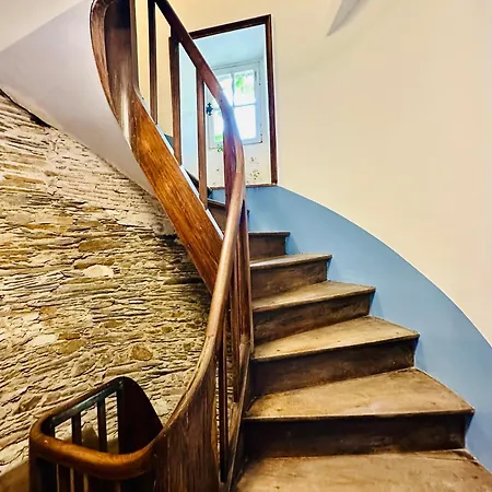 아파트 Le Petit Tinteniac - T2 Cosy Au Coeur De La Doutre